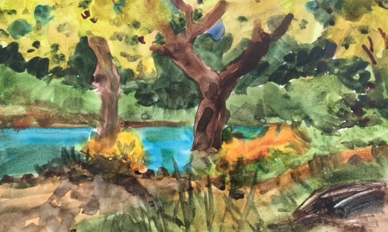 Waterpainting of trees in the Arboretum