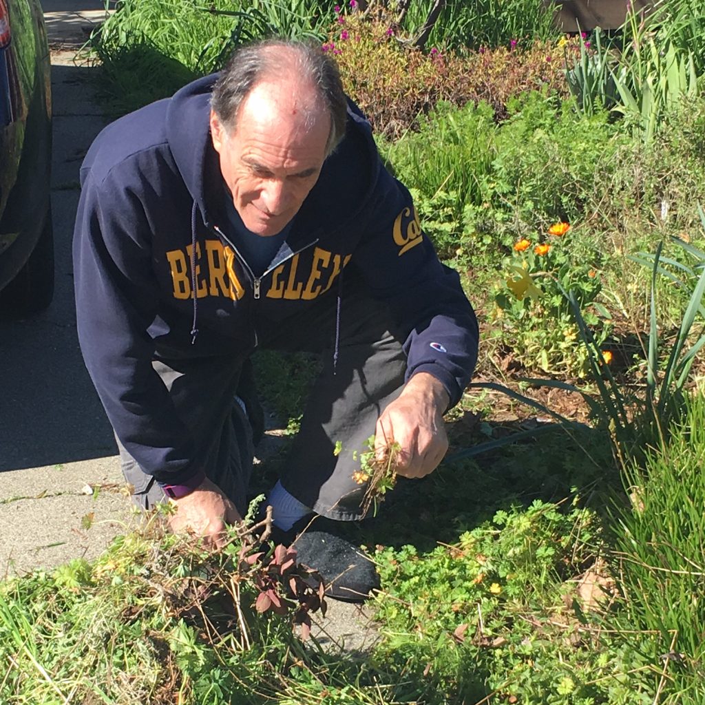 Pulling weeds
