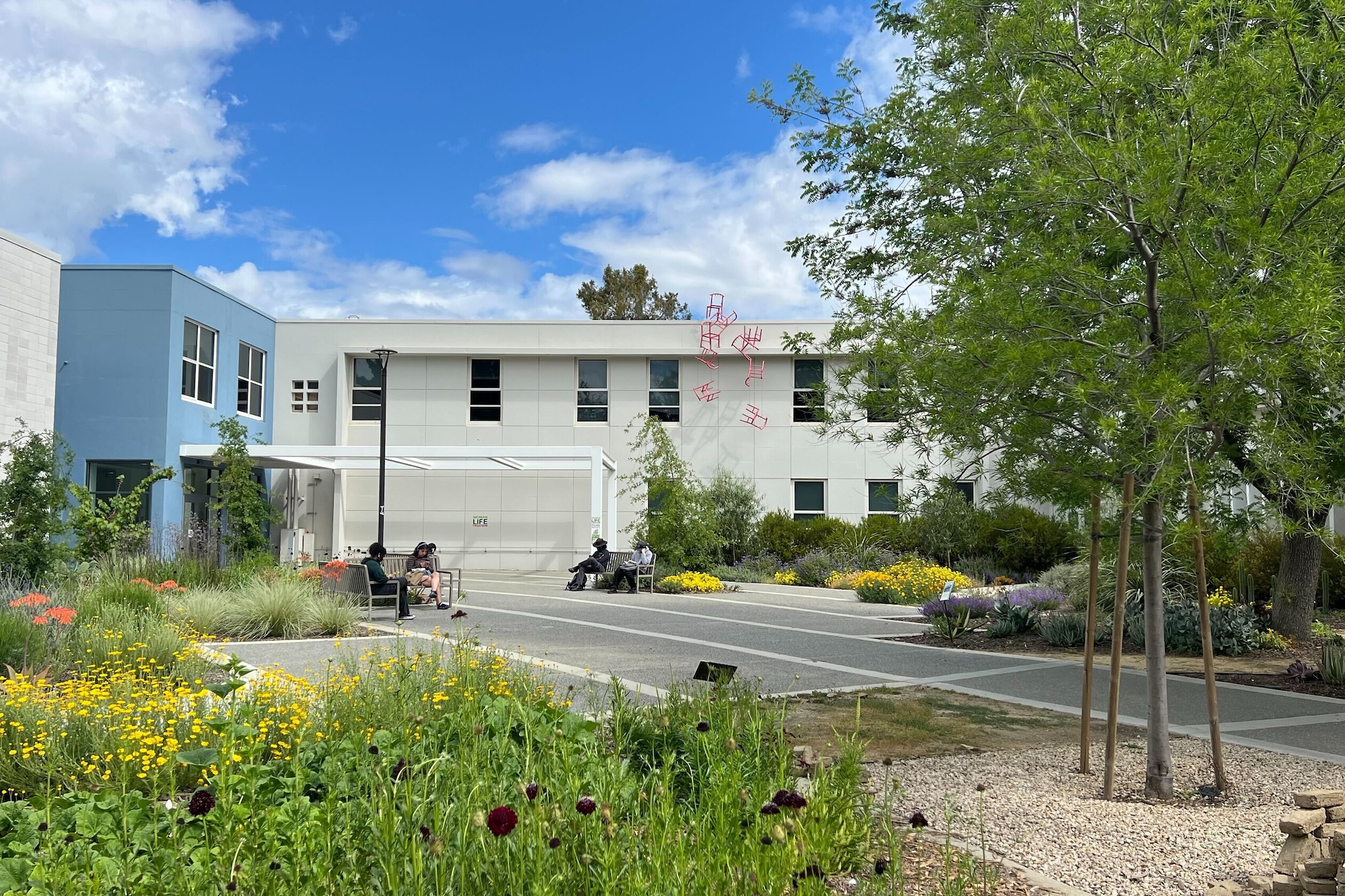 Visitors sit among the blooming landscape in the Savageau Courtyard at Cruess Hall