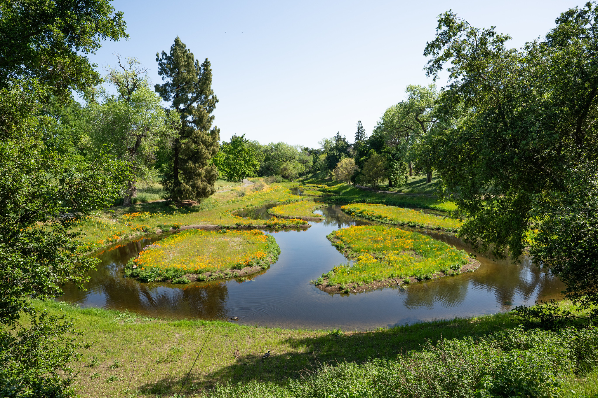 A view from above of the reimagined waterway with clear water running between small islands with blooming flowers, the waterway is surrounded by lush trees and shrubs.