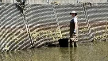 waterway stewardship 4