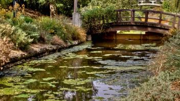 Arboretum wooden bridge