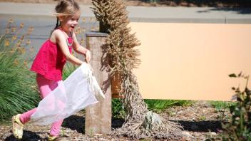 Discovering arboretum insects