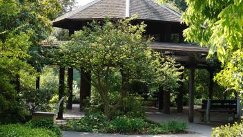 Arboretum Gazebo