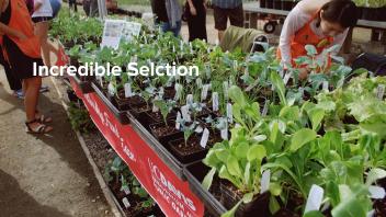 Incredible Selection