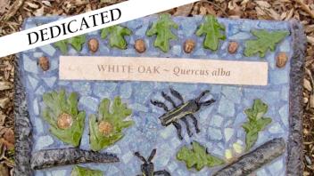 White Oak plaque