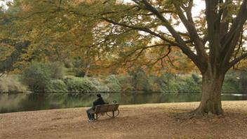 bench in the arboretum