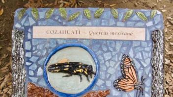 Cozahuatl plaque