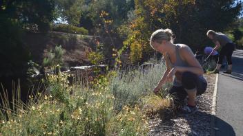 Students in the Learning by Leading Sustainable Horticulture internship designed and installed a landscape in the UC Davis Arboretum .