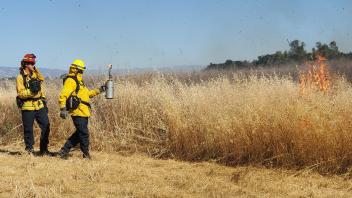 Firefighters participating in wildland fire training
