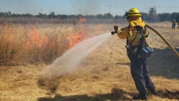Firefighters participating in wildland fire training