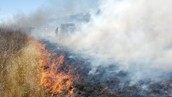 Firefighters participating in wildland fire training