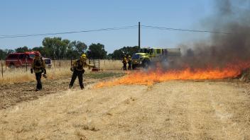 Firefighters participating in wildland fire training