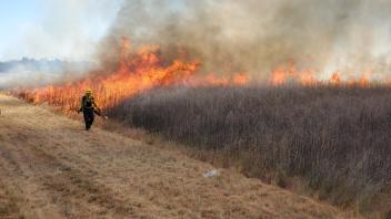 Firefighters participating in wildland fire training