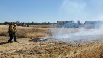Firefighters participating in wildland fire training