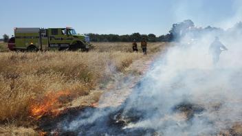 Firefighters participating in wildland fire training