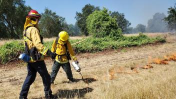 Firefighters participating in wildland fire training