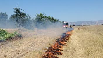 Firefighters participating in wildland fire training