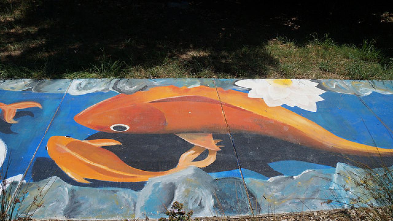 Fish mural