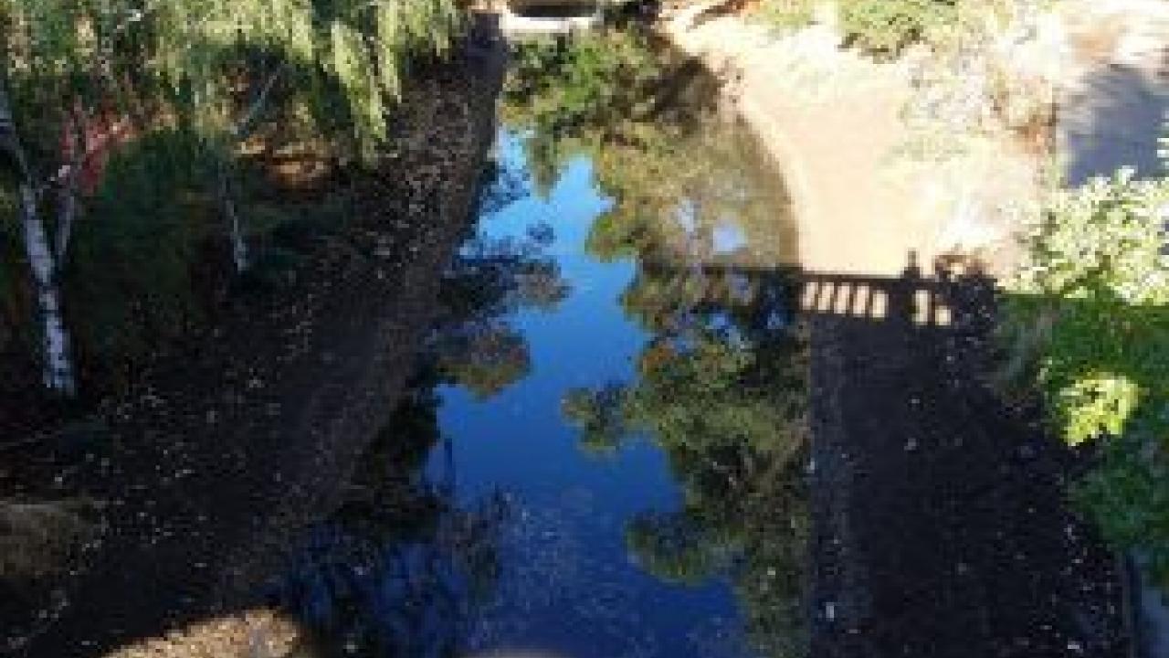 We got enough rain last Sunday to fill this Waterway canal in the construction area! Waterway canal filled with rainwater