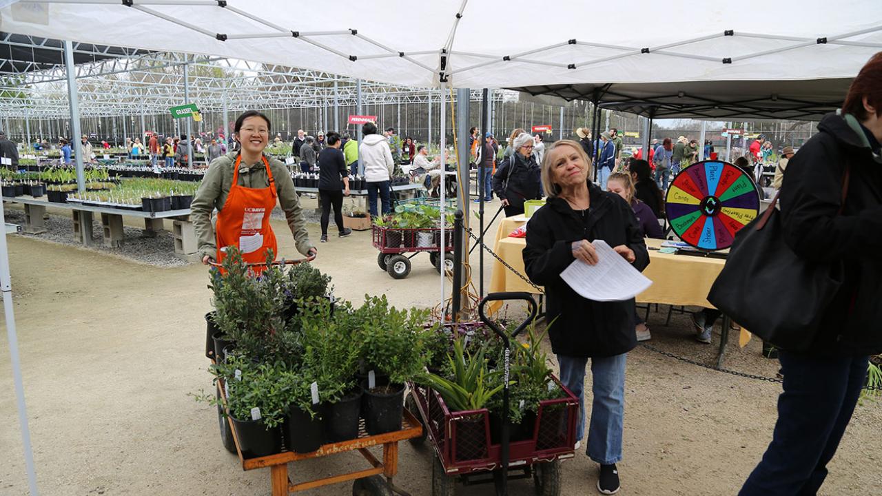 Nursery intern and plant expert Xinyu Ma assists a shopper with her purchases. Plant sale customers can seek help from staff, students and community volunteers wearing orange aprons. Xinyu Ma