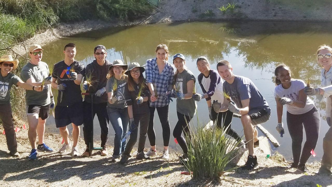 Students on the Learning by Leading Waterway Stewardship team plant sedges and rushes along the newly created banks of the Arboretum Waterway.