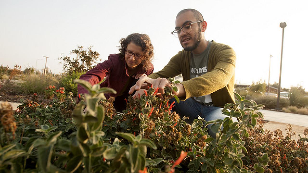 Levy Hernandez, together with staff mentor and Director of GATEways Horticulture, Emily Griswold, tend to the newly created Hummingbird GATEway Garden. Levy Hernandez and Emily Griswold