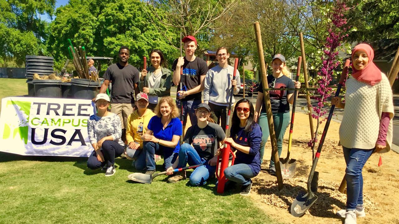 Students, faculty and staff participate in a tree planting event along the east side of campus as part of the UC-wide Cool Campus Challenge and to support our continued status in Tree Campus USA. Students, faculty and staff participate in a tree planting event along the east side of campus as part of the UC-wide Cool Campus Challenge and to support our continued status in Tree Campus USA.