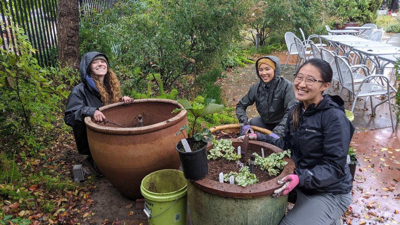 Learning by Leading Habitat Horticulture interns planting pollinator-attracting containers. Their goal is to educate the public about how the smallest gardens can support pollinators. Image of Learning by Leading Habitat Horticulture interns planting pollinator-attracting containers. Their goal is to educate the public about how the smallest gardens can support pollinators.