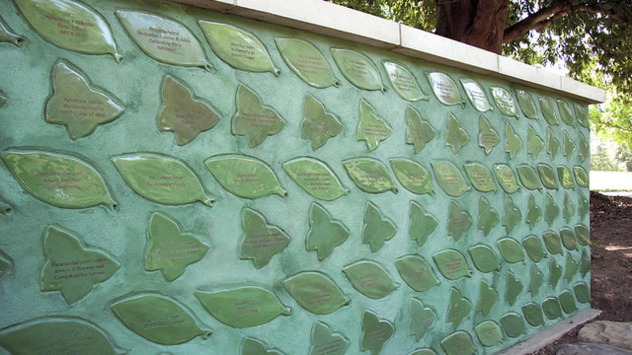 Dedicate a tile in Nature’s Gallery Court, the Arboretum’s iconic mural wall! Nature's Gallery Court