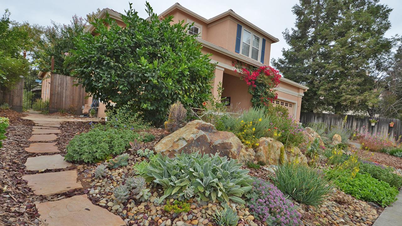 Life After Lawn Advice: Plant for Year-round Color