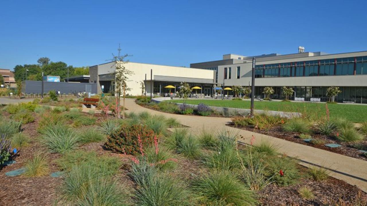 West side of the UC Davis Arboretum