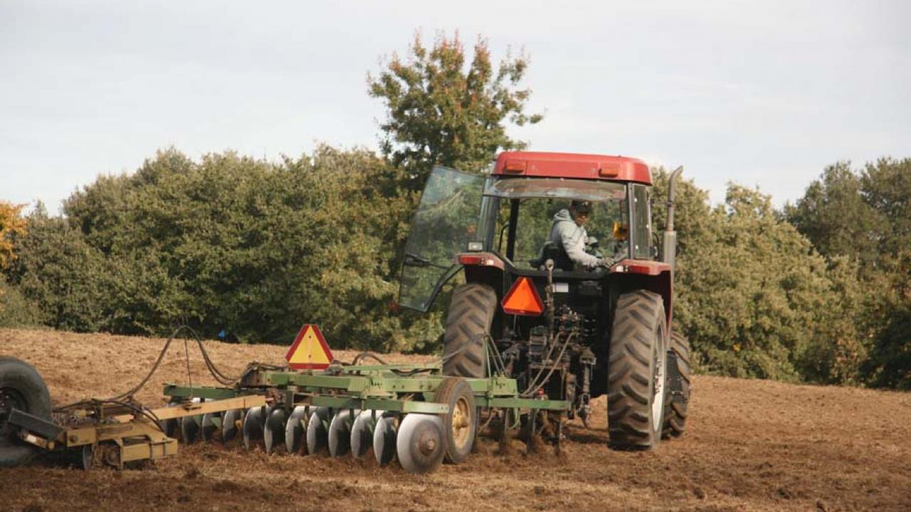 Robert Bohn, Sr. Museum Scientist, preps the soil for seeding. Prepping soil for seeding