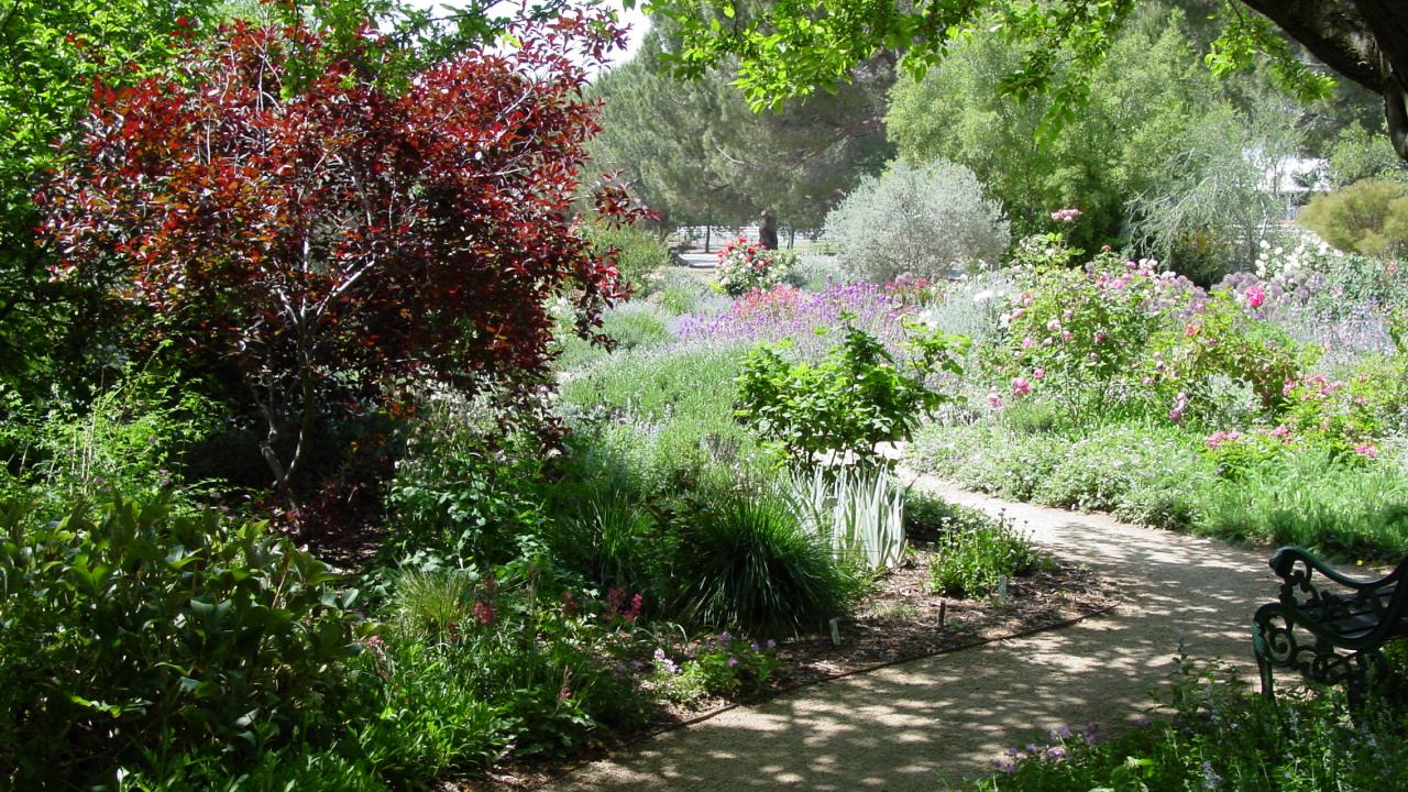 Storer Garden is one of the gardens made possible by an endowment. Storer Garden