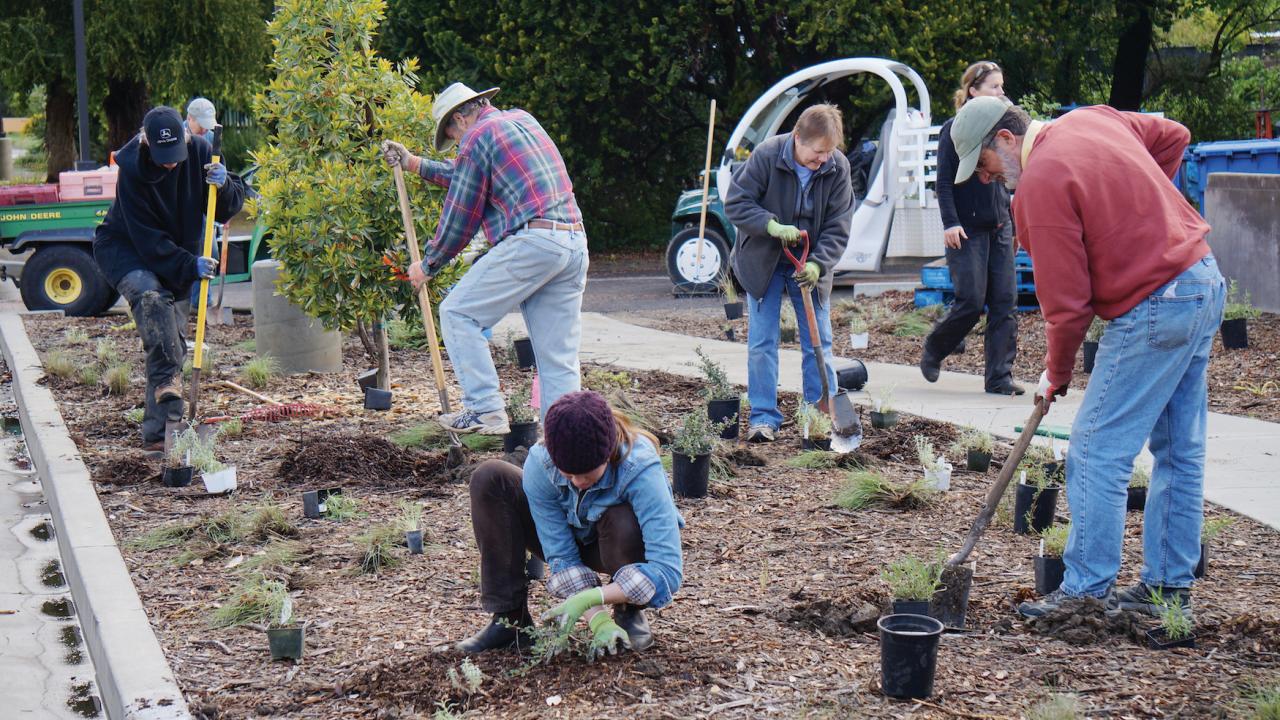 A picture of the volunteers. 