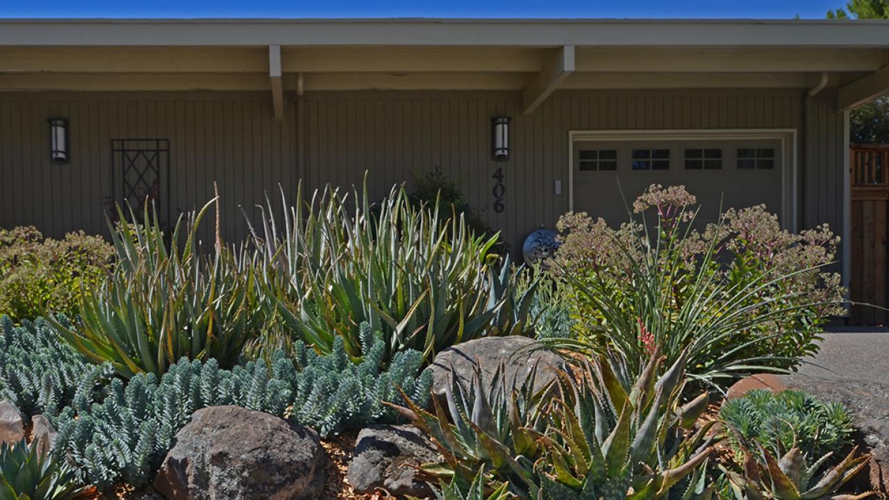 Life After Lawn Advice: Learn by Doing