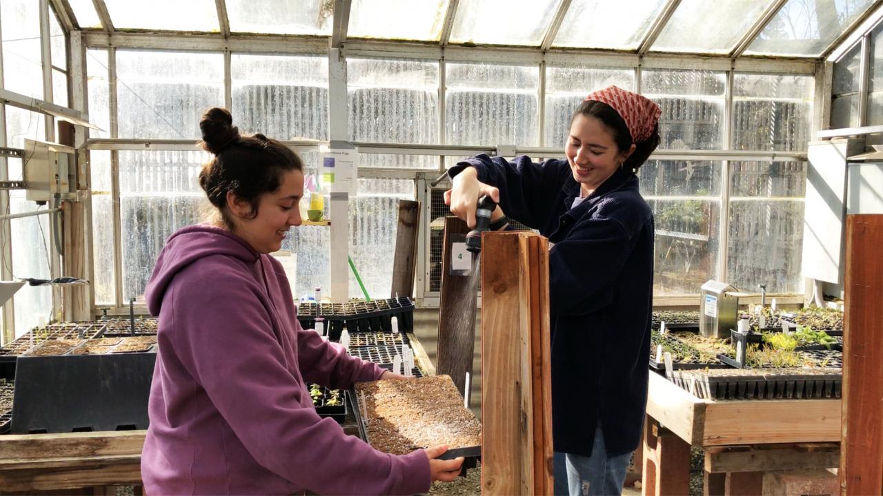 The Learning by Leading Edible Landscaping team waters seeds they are growing to eventually donate to the Student Pantry. Two students water their seeds in the greenhouse.
