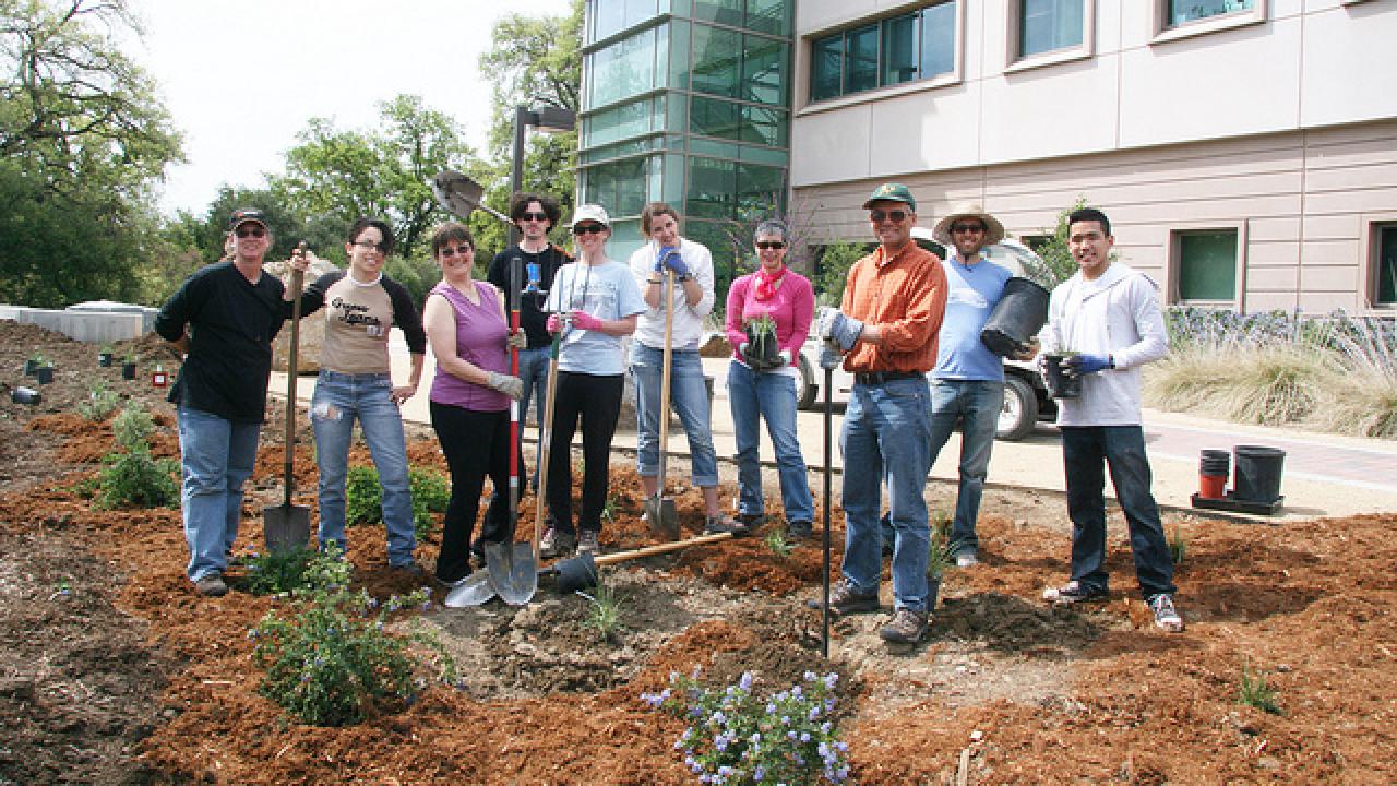 Image of volunteers planting the California Rock Garden.