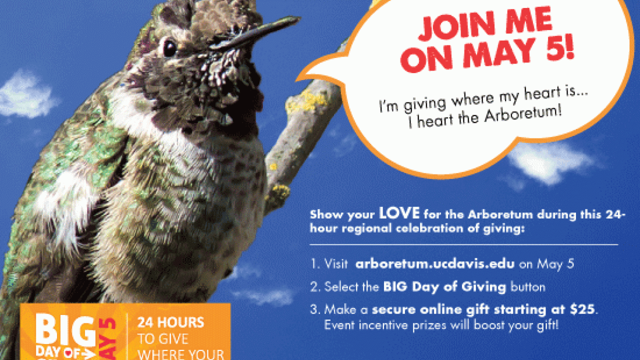 Big Day of Giving 2015