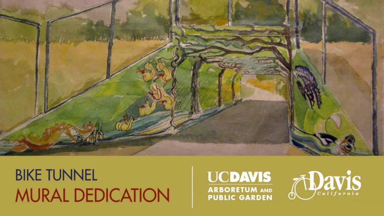 Community Built Association member and nationally-recognized muralist Caryl Yasko’s draft “maquette” of the bike tunnel’s east entrance. bike tunnel mural graphic