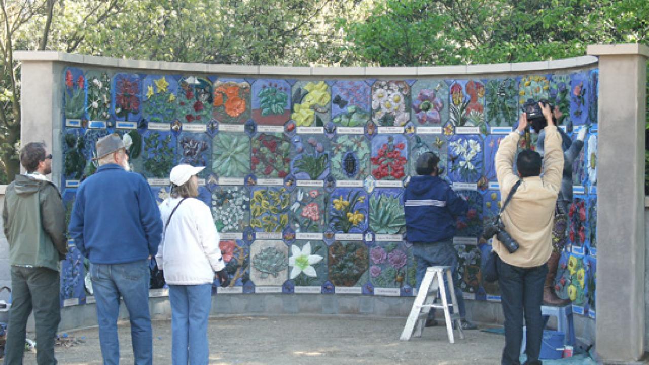 Nature's Gallery court update