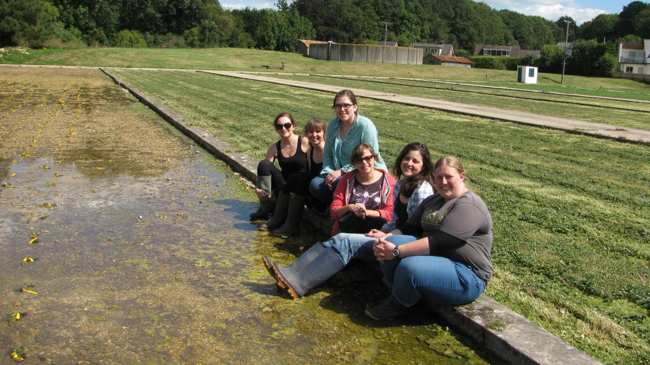 Taylor lab members in watercress field in Dorset, UK