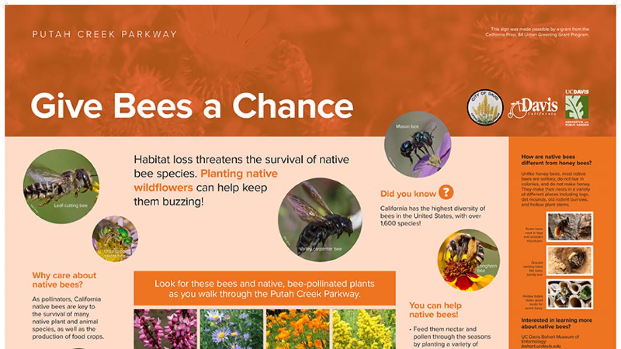 Look for this and many other new interpretive signs in Putah Creek Parkway and Arboretum GATEway Garden! Give Bees a Chance