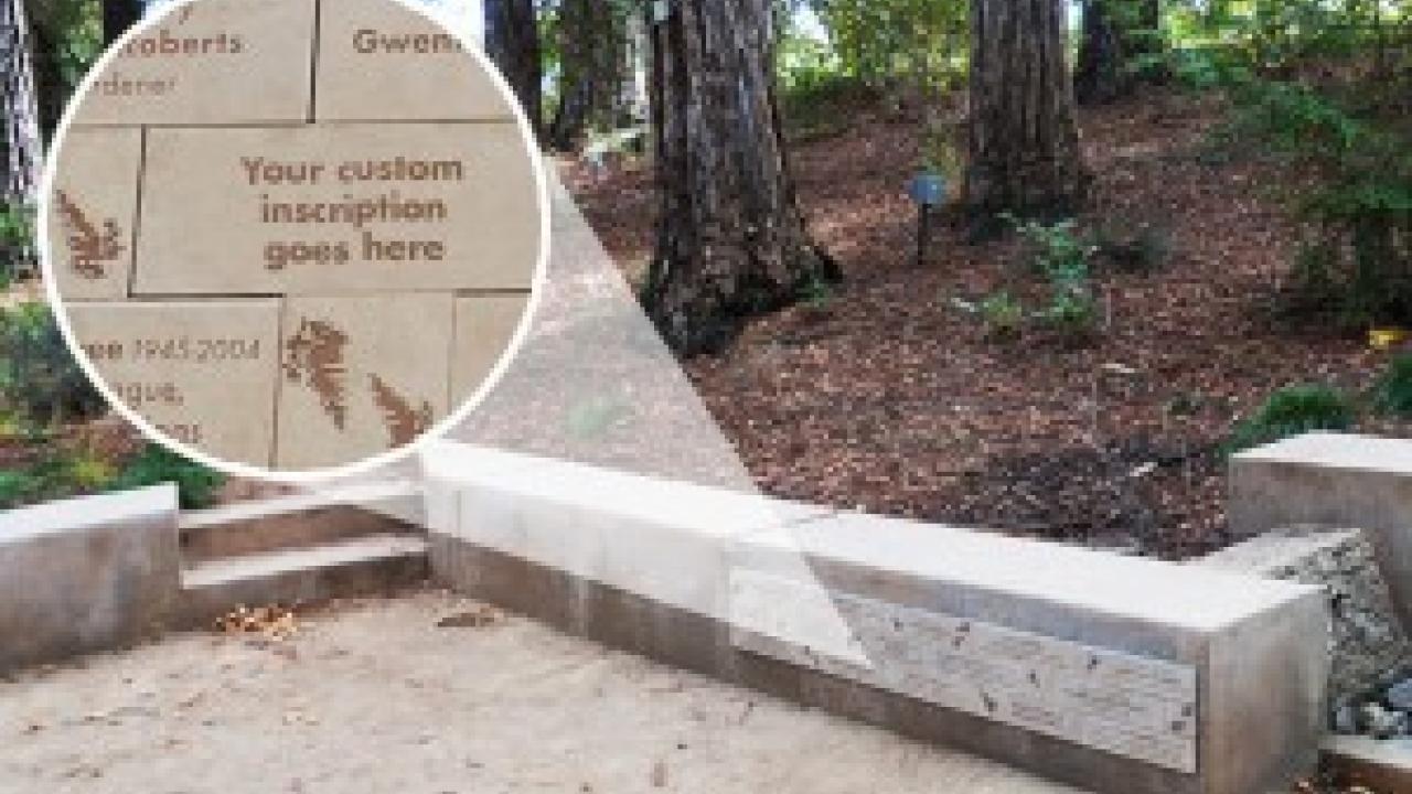 Unique, custom-engraved tiles are available for dedication in the iconic T. Elliot Weier Redwood Grove. Tiles in Redwood Grove