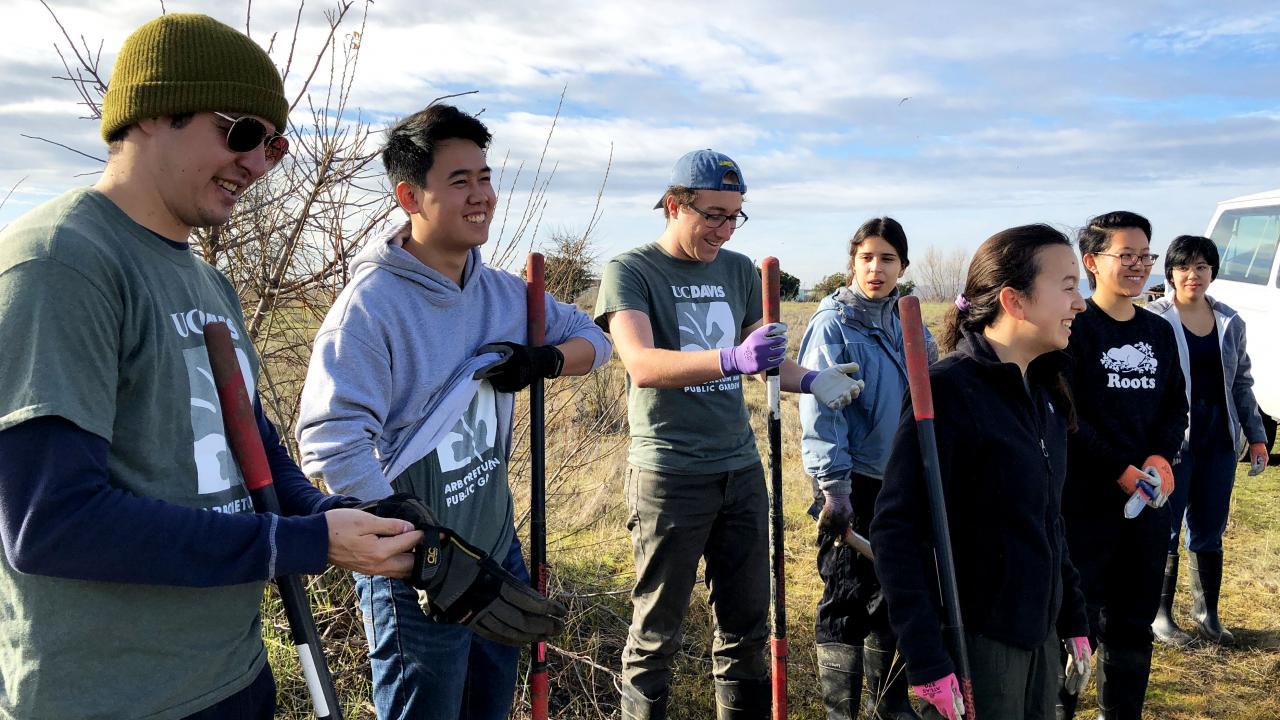 group of interns from waterway stewardship harvesting tule