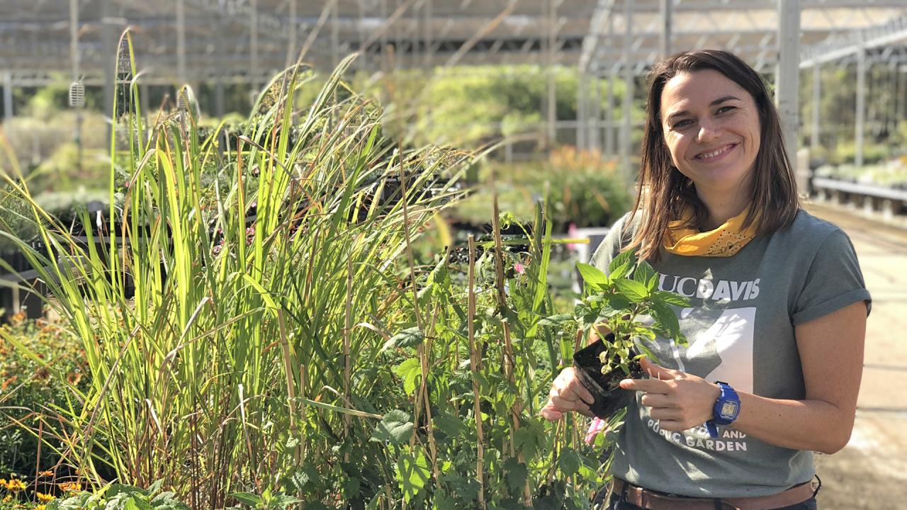 Photo of Nursery Special Projects Manager, Abbey Hart