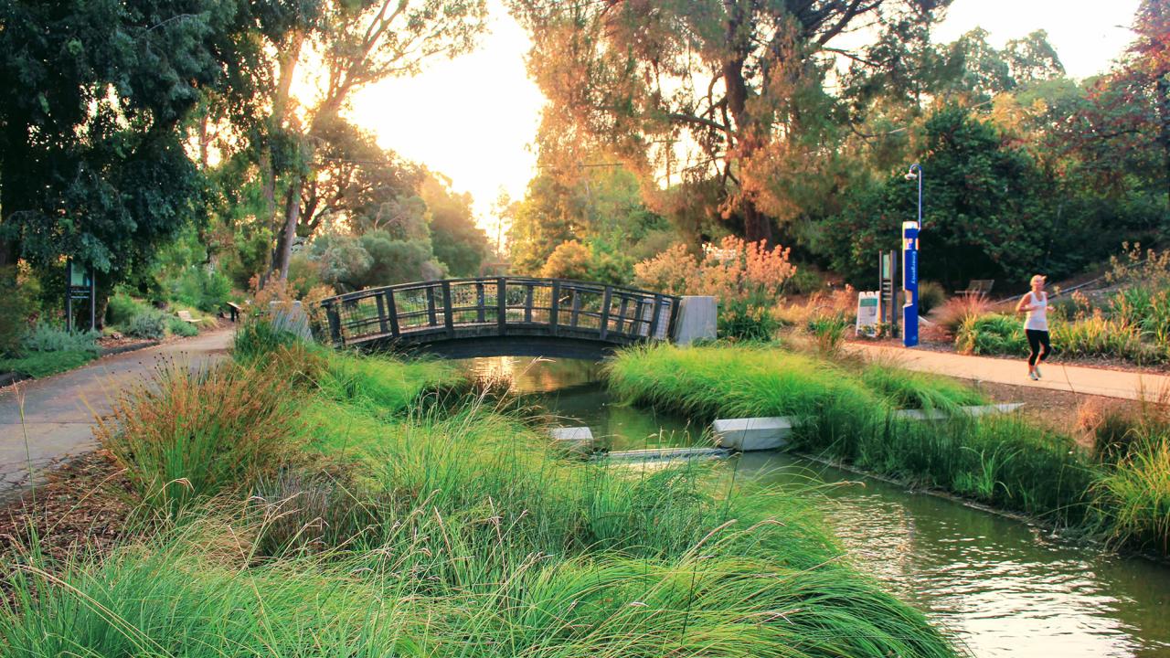 After phase of the Arboretum Waterway enhancements