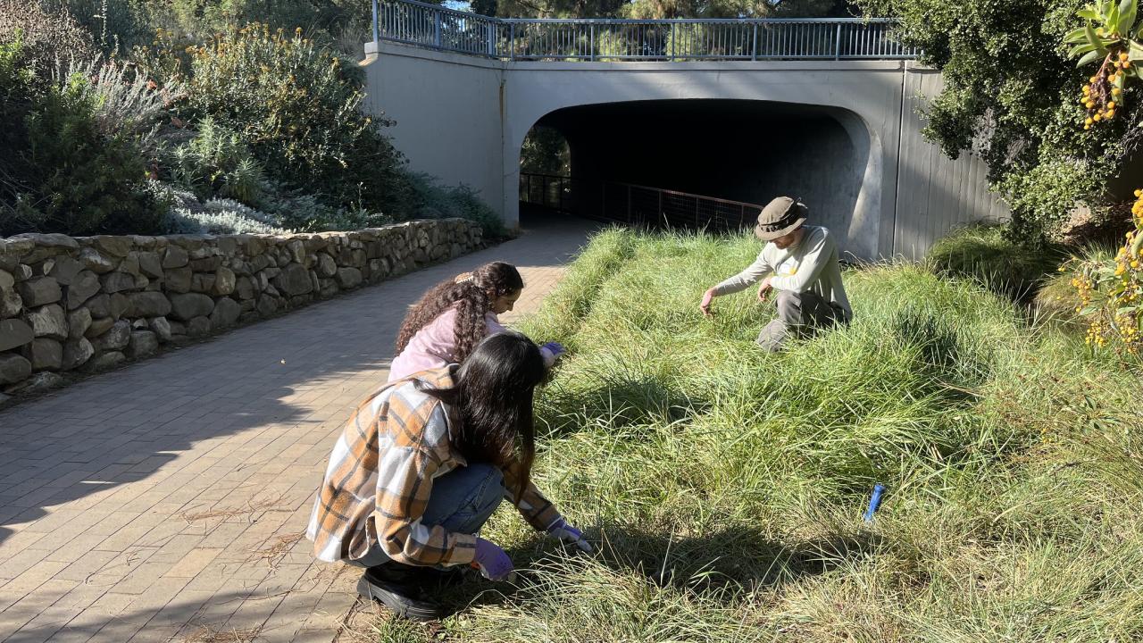 Three volunteers work in the Arboretum