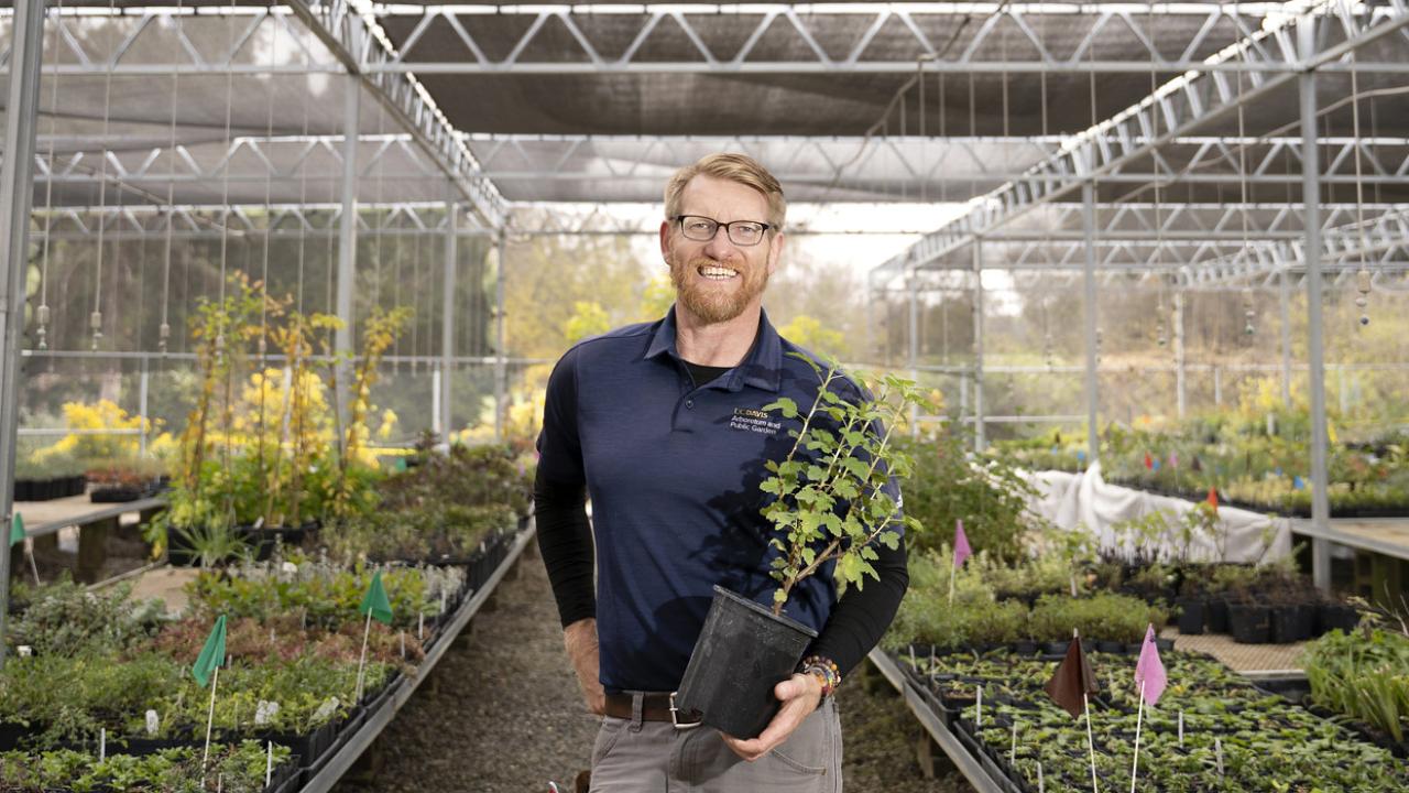 Image of UC Davis Arboretum and Public Garden Nursery Manager Taylor Lewis standing among the aisles of the UC Davis Arboretum Teaching Nursery, smiling and holding a flowering maple in one hand with a hand positioned on the opposite hip. Taylor has red hair, a beard, wears glasses and dons a welcoming smile. He is missed terribly.