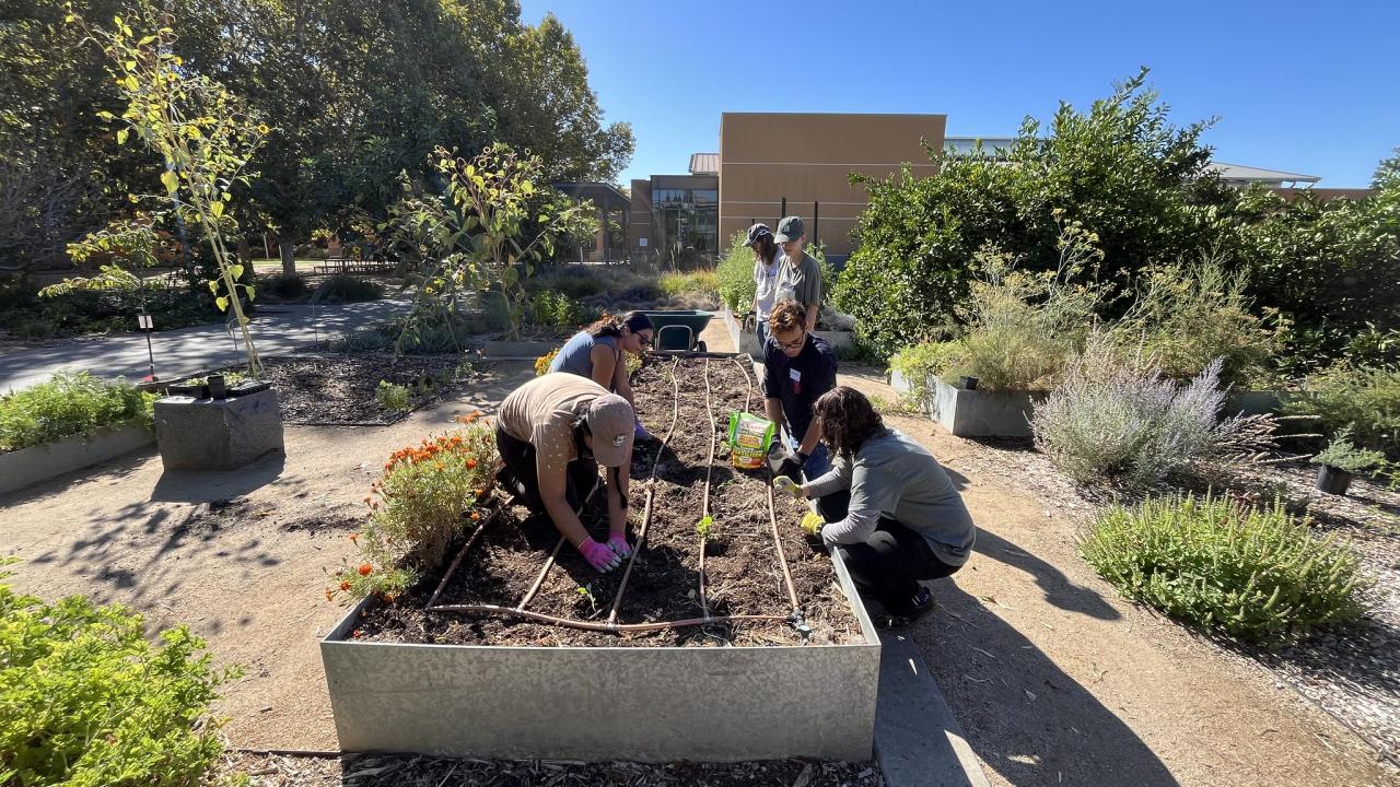 Volunteers working in the Good Life Garden